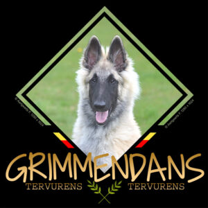 Grimmendans